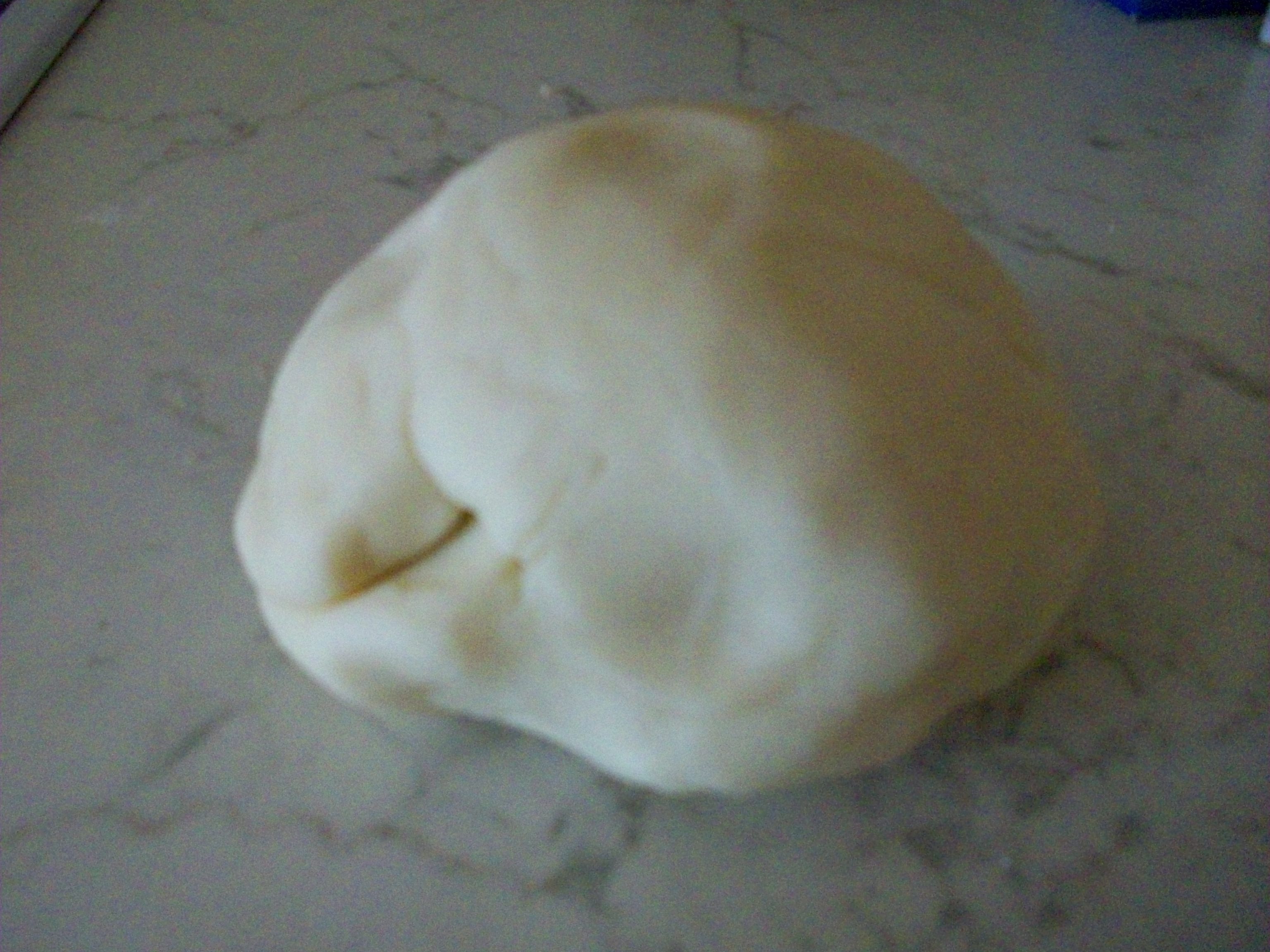 Pâte à modeler à cuire (Etape (5)